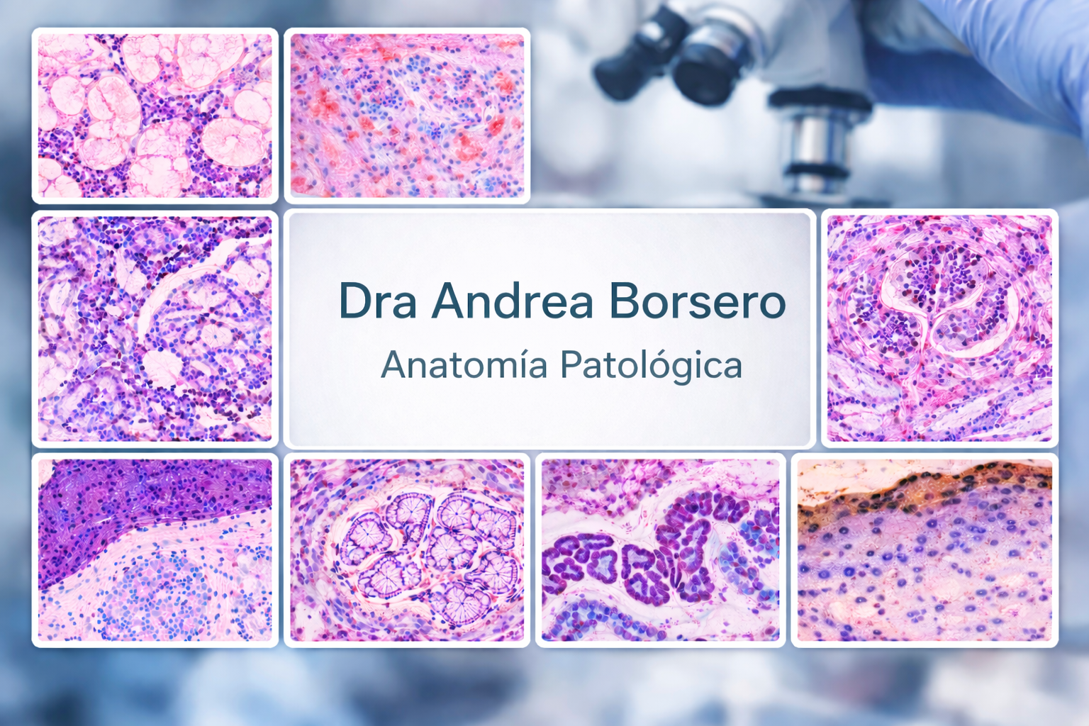 Collage de imágenes histopatológicas del laboratorio de la Dra. Andrea Borsero
